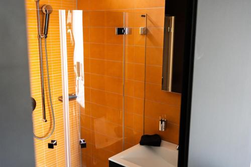 ブオクスにあるCharming studio by Lake Lucerneのバスルーム(シャワー、白いトイレ付)