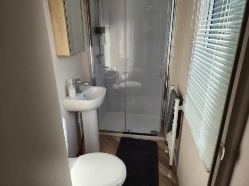 a bathroom with a toilet and a sink and a shower at Baywood View Lodge in East Heslerton