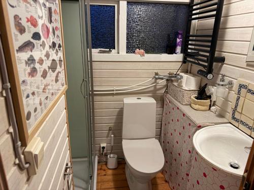 a small bathroom with a toilet and a sink at Cheerful forest cabin Fireplace and Hot tub in Akranes