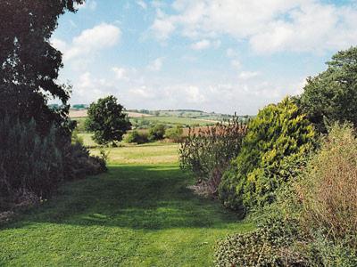 een groen veld met bomen en struiken en een pad bij The Forge in Somersal Herbert