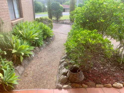 a garden with plants and a walkway next to a building at Seascape Carroll Avenue - close to Mollymook Beach in Mollymook