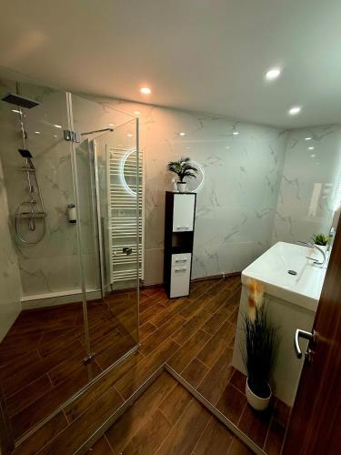 a bathroom with a shower and a sink at Apartmán u Kostnice in Kutná Hora