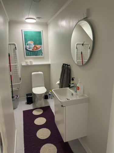 a bathroom with a sink and a mirror and a toilet at Bagargården7. bed & breakfast (Åre Bageri) in Åre