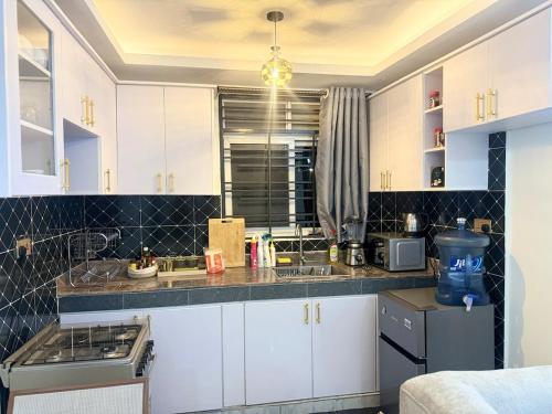 Η κουζίνα ή μικρή κουζίνα στο A Cozy Apartment in Kampala, Ntinda