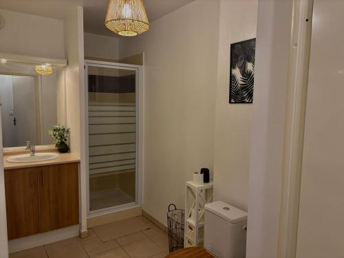 a bathroom with a sink and a toilet and a chandelier at T1 cosy tout équipé, proche Airbus aéroport in Colomiers