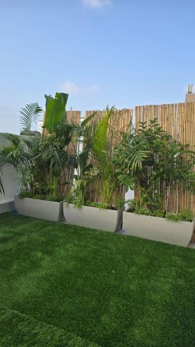 a row of plants in a yard with grass at Sunset Home - Netanya Roof & Sea View in Netanya