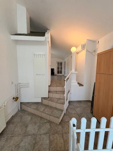 Φωτογραφία από το άλμπουμ του Elegant στο Ζρένιανιν