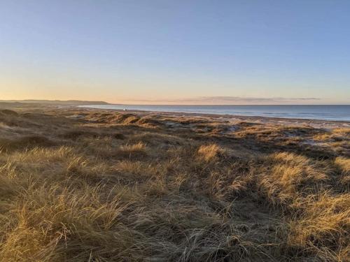 a field of grass with the ocean in the background at 6 person holiday home in Fjerritslev in Fjerritslev
