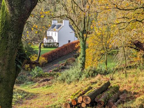 een witte schuur midden in een veld met bomen bij Little Boreland in Gatehouse of Fleet
