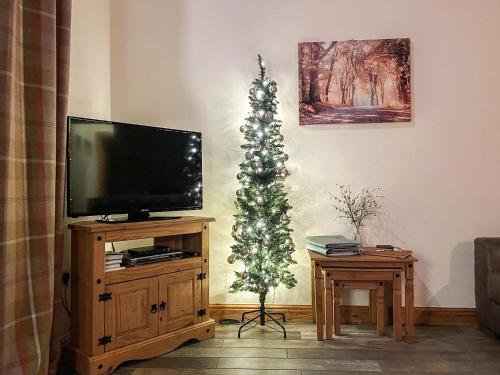 TV a/nebo společenská místnost v ubytování The Bobbin