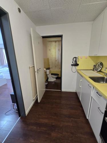 a kitchen with a sink and a toilet in a room at Queen Home1 in Lucerne
