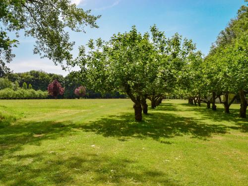 a row of apple trees in a field at Deer Cottage 2 Uk39332 in Biddenden
