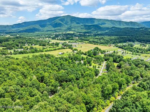 an aerial view of a forest with mountains in the background at Along the Trail Cabin with Hot Tub Pool Pond Game Room in Wear Valley