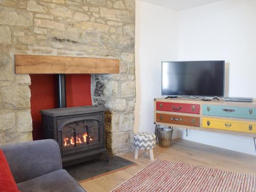 a living room with a fireplace and a television at Delfryn in Llanarth