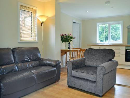 Hoel-galedにあるSwallows Nestのリビングルーム(革張りのソファ、椅子付)