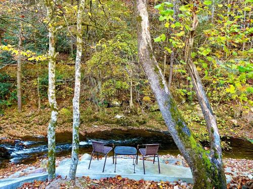 Příroda nedaleko prázdninového domu