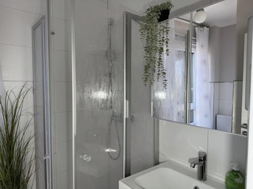 a bathroom with a shower and a sink and a mirror at Briesenick-Radde in Tossenserdeich