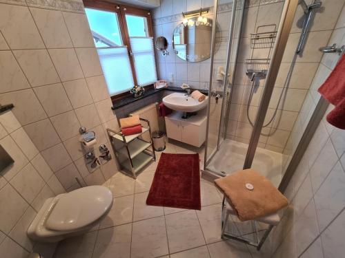 a bathroom with a shower and a toilet and a sink at Gentian in the Wendelstein holiday home in Fischbachau