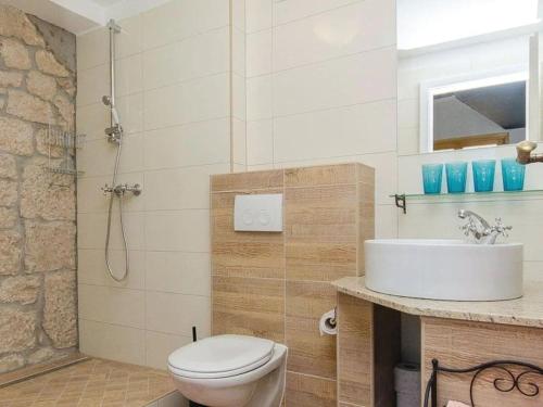 een badkamer met toilet en wastafel bij Villa in Zagvozd with swimming pool in Šarići