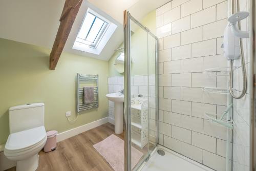 LlanerchymeddにあるBwthyn-Pili-Palaのシャワー、トイレ、洗面台を備えたバスルーム