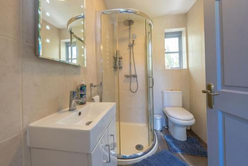 a bathroom with a sink and a shower and a toilet at Eiddew-Y-Ffynnon in Llanfyrnach