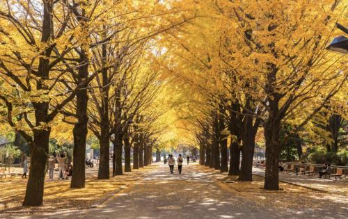 西新宿5丁目戸建