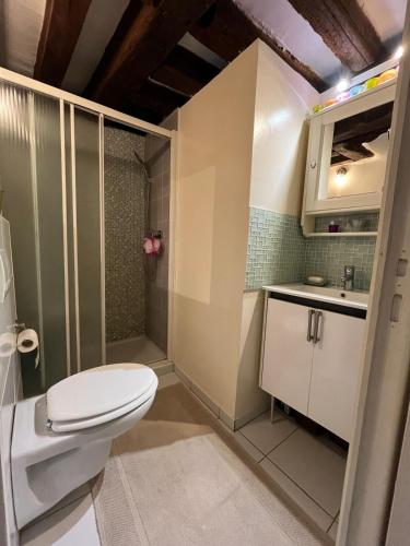 a bathroom with a toilet and a shower at Cosy studio Montorgueil paris centre in Paris
