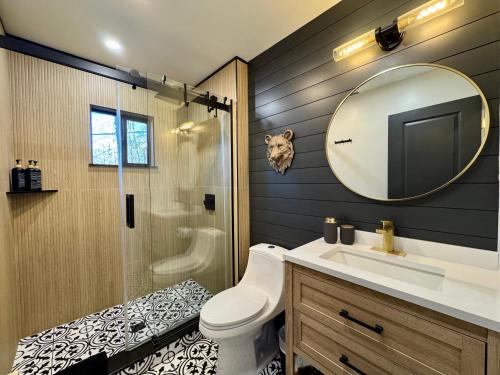 a bathroom with a toilet and a sink and a mirror at Cozy Creekside cabin- 35m to Boone in Butler