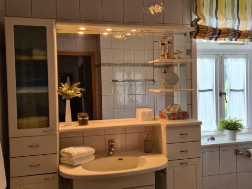 a bathroom with a sink and a mirror at Holiday apartment with 1 bedroom in Nindorf