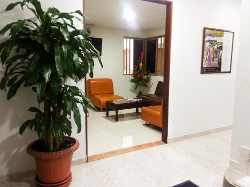 a living room with a plant in a pot at Hotel Center in Ibagué
