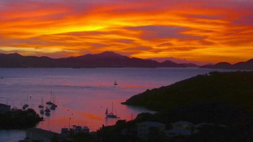 Φυσικό τοπίο κοντά σε αυτό το διαμέρισμα