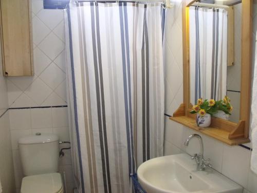 a bathroom with a shower curtain and a sink at La Orotava-casa Rural Los Nardos in Montijos