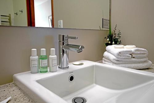 a bathroom with a sink and a mirror at Wilderness Lodge Arthurs Pass in Arthur's Pass