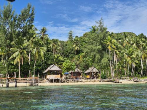 Příroda nedaleko penzionu