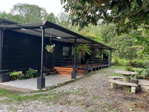 Vườn quanh Casa Onca