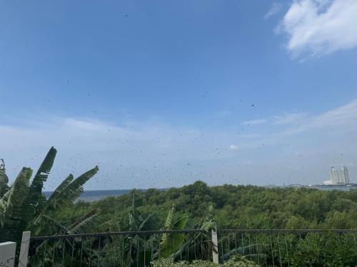 a flock of birds flying over a forest at sea l in Jakarta
