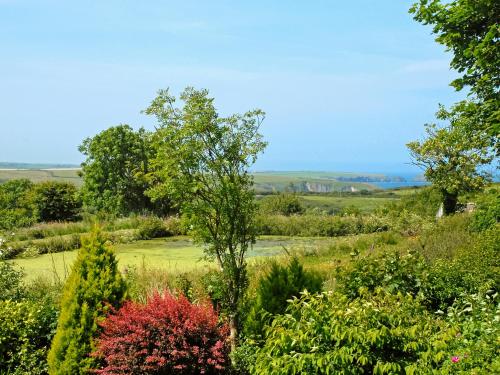 a view from the garden of the house at Llys Isaf in Saint Nicholas