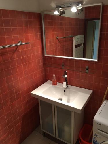 a bathroom with a white sink and a mirror at City Apartment Děčín in Děčín