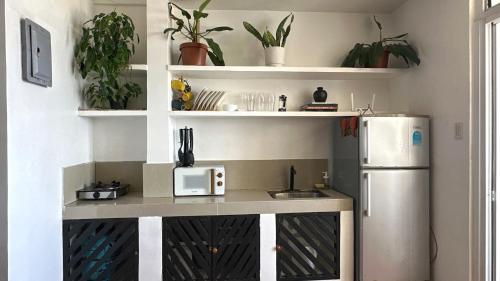 Η κουζίνα ή μικρή κουζίνα στο Two Bedroom Beachfront Penthouse