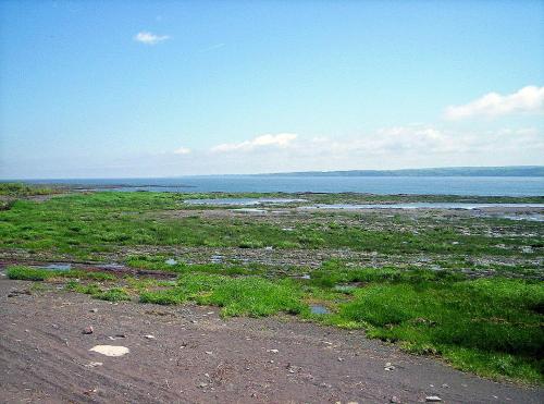 Φωτογραφία από το άλμπουμ του Auberge Les Blancs Moutons σε Saint-Laurent-de-l'ile d'Orleans