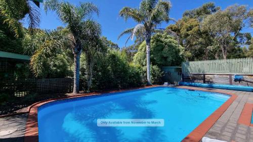 a swimming pool in a yard with palm trees at Treetop Retreat - Family Escape with Pool in Metung