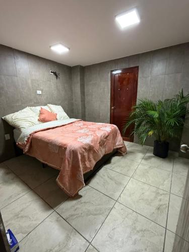 a bedroom with a bed and a potted plant at Casa Areka in Veracruz