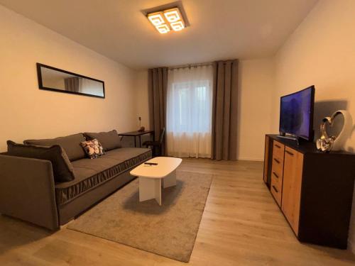 a living room with a couch and a tv at Ferienwohnung Daviana in Beckingen