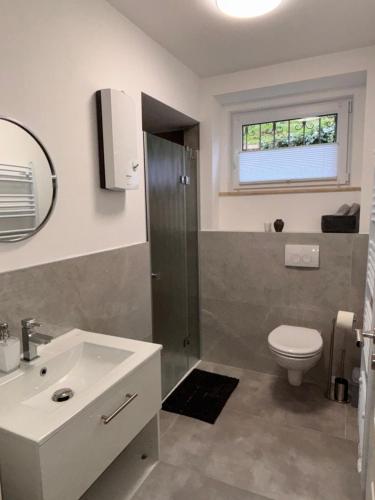 een badkamer met toilet en wastafel bij Ferienwohnung Daviana in Beckingen