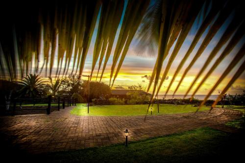 a sunset in a park with palm trees at Pikera Uri Eco Lodge in Hanga Roa