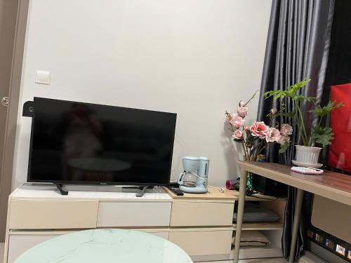 una TV a schermo piatto appoggiata su una cassettiera con dei fiori di mickey home ad Ho Chi Minh