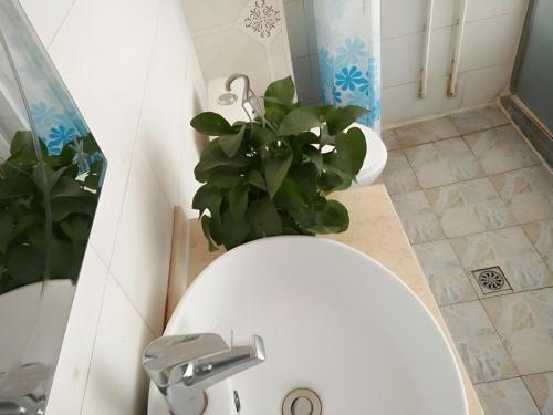 a white toilet in a bathroom with a plant at Shell Hotel Taiyuan South Railway Station New Southeast Bus Station in Taiyuan