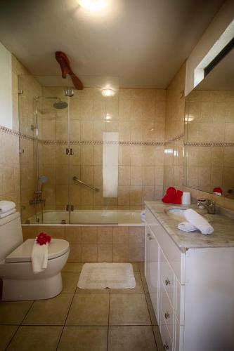 a bathroom with a shower and a toilet and a sink at Pikera Uri Eco Lodge in Hanga Roa