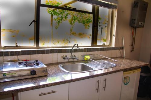 a kitchen counter with a sink and a window at Maskam Guest Farm in Vanrhynsdorp