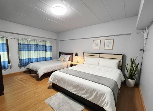 Un dormitorio con dos camas y una planta en maceta. en BirdHostel Chiangrai, en Chiang Rai